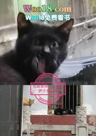 短篇集的小说